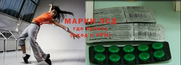 spice Богородицк