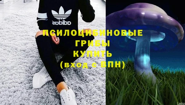 MESCALINE Белокуриха